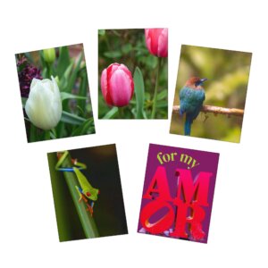 Travel Inspired Birthday Cards – 5-Pack